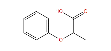 2-Phenoxypropanoic acid
